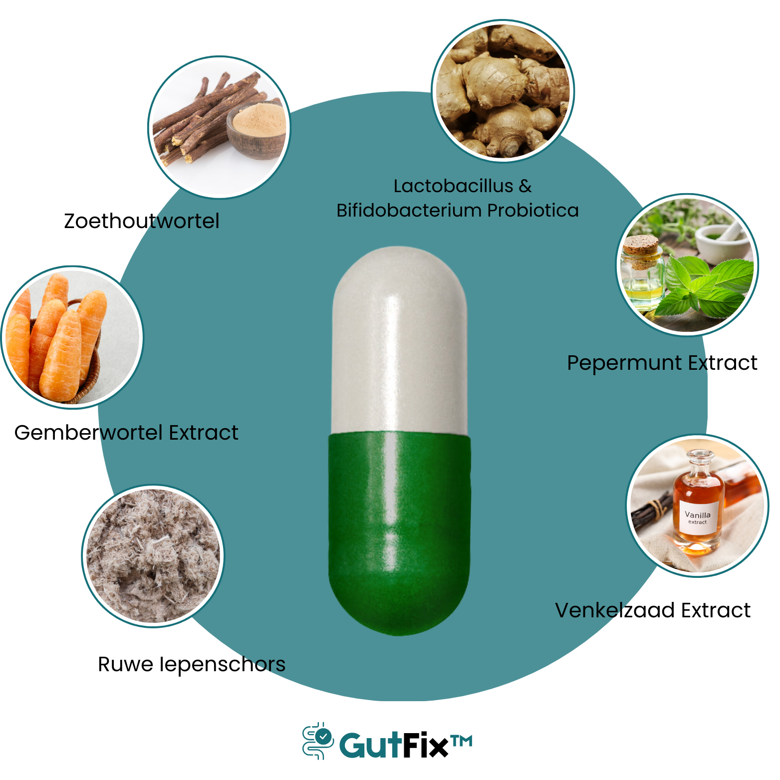 GutFix™ Geavanceerde Spijsverteringsverlichtingscapsules