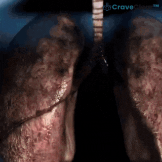 CraveClear™ Stoppen Met Roken Stick
