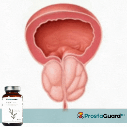 ProstaGuard™ Geavanceerde Prostaatondersteunende Capsules