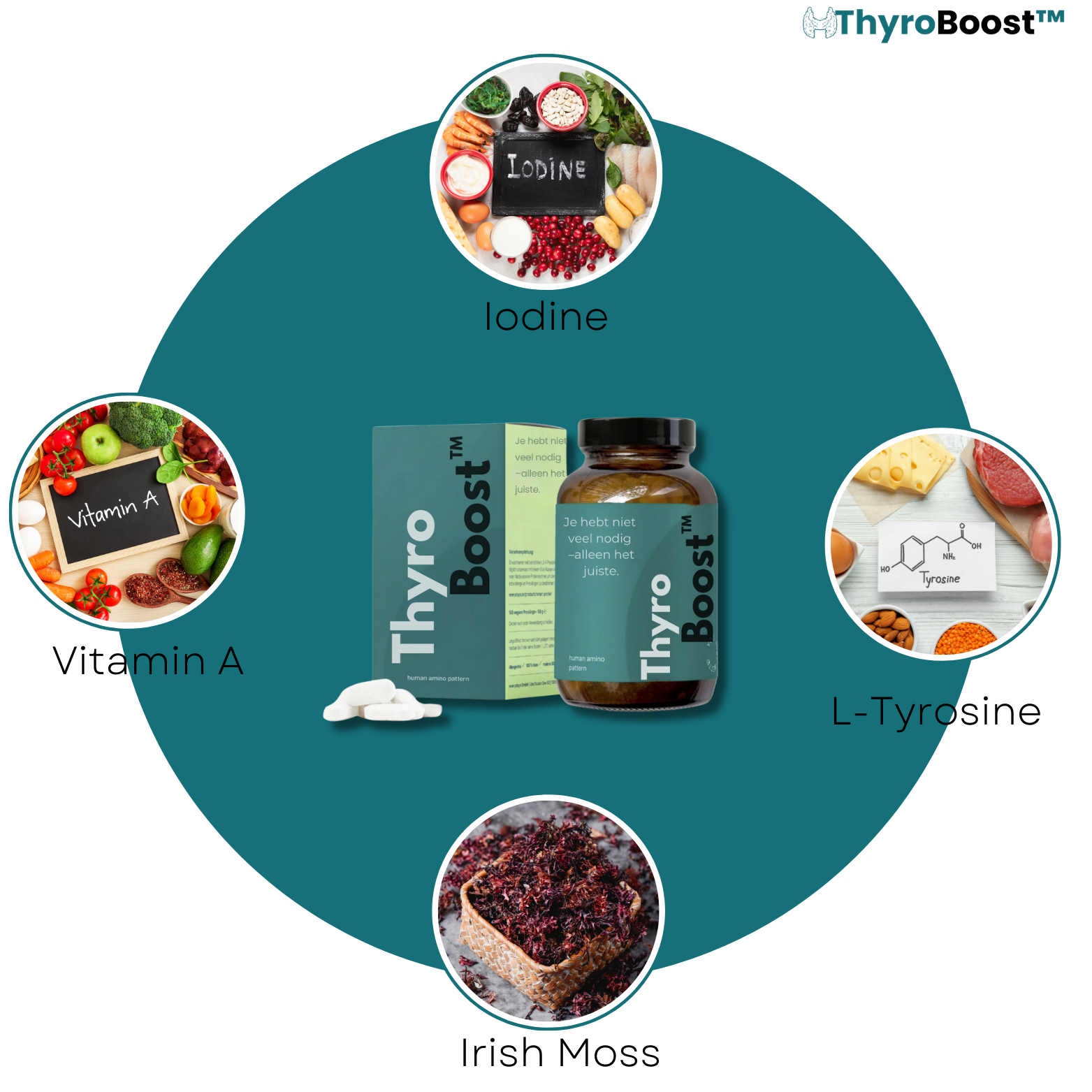 ThyroBoost™ Hashimoto Ondersteunende Capsules